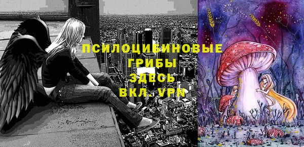 мяу мяу мука Бородино
